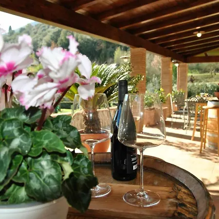 Villa Axel Charme Tra E Sperlonga Itri